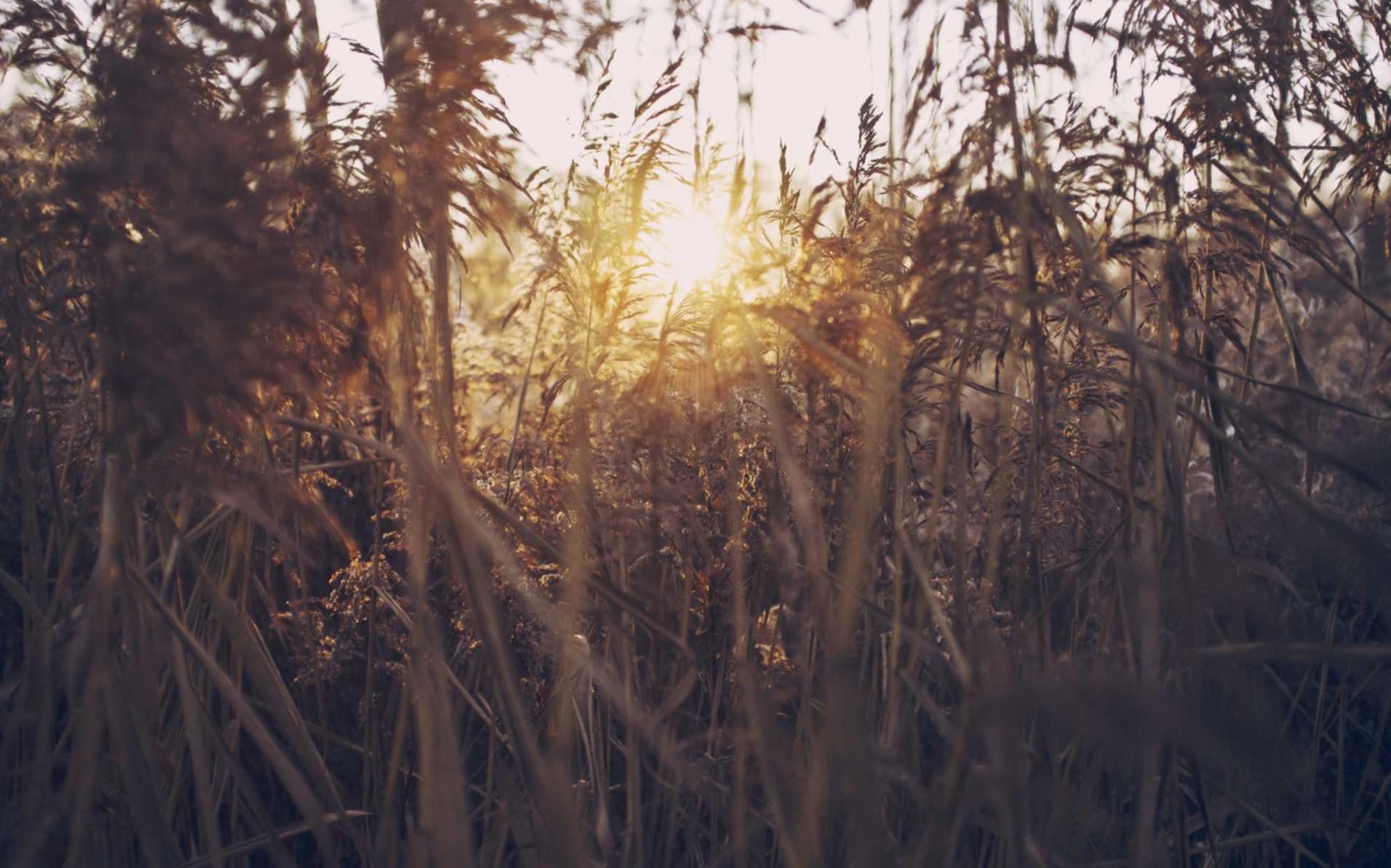 免费攻击网站|长武代理注册