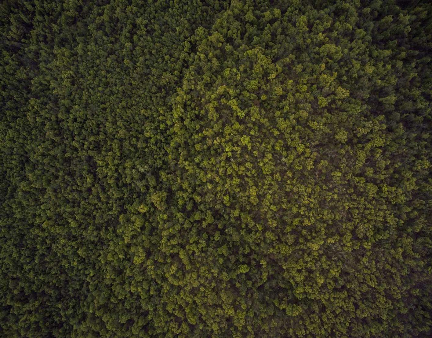 DDOS平台|小游账号注册账号