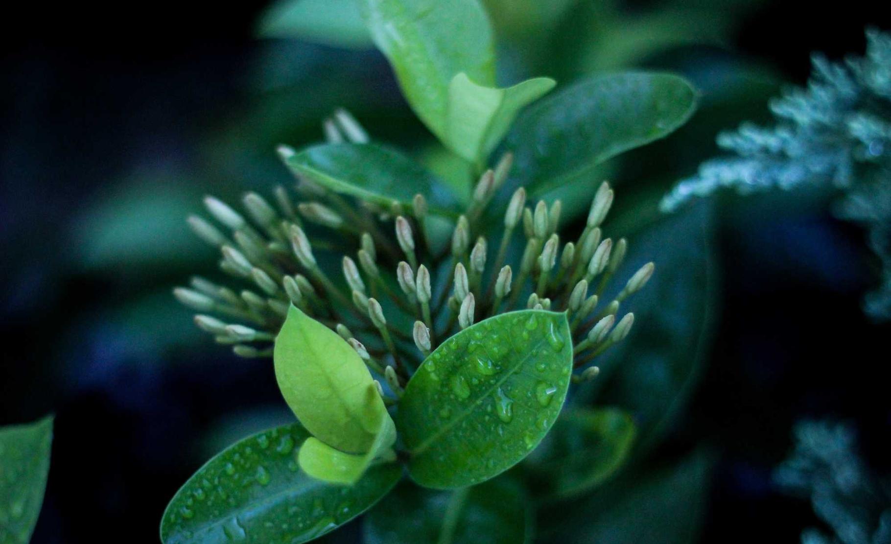 积目实名账号:富国基金app详情下载教程