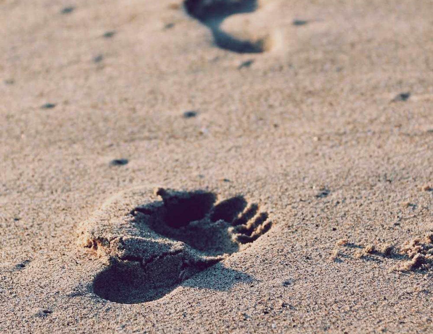 飞网ip实名账号：打造短信营销策略——三步骤看穿客户心理