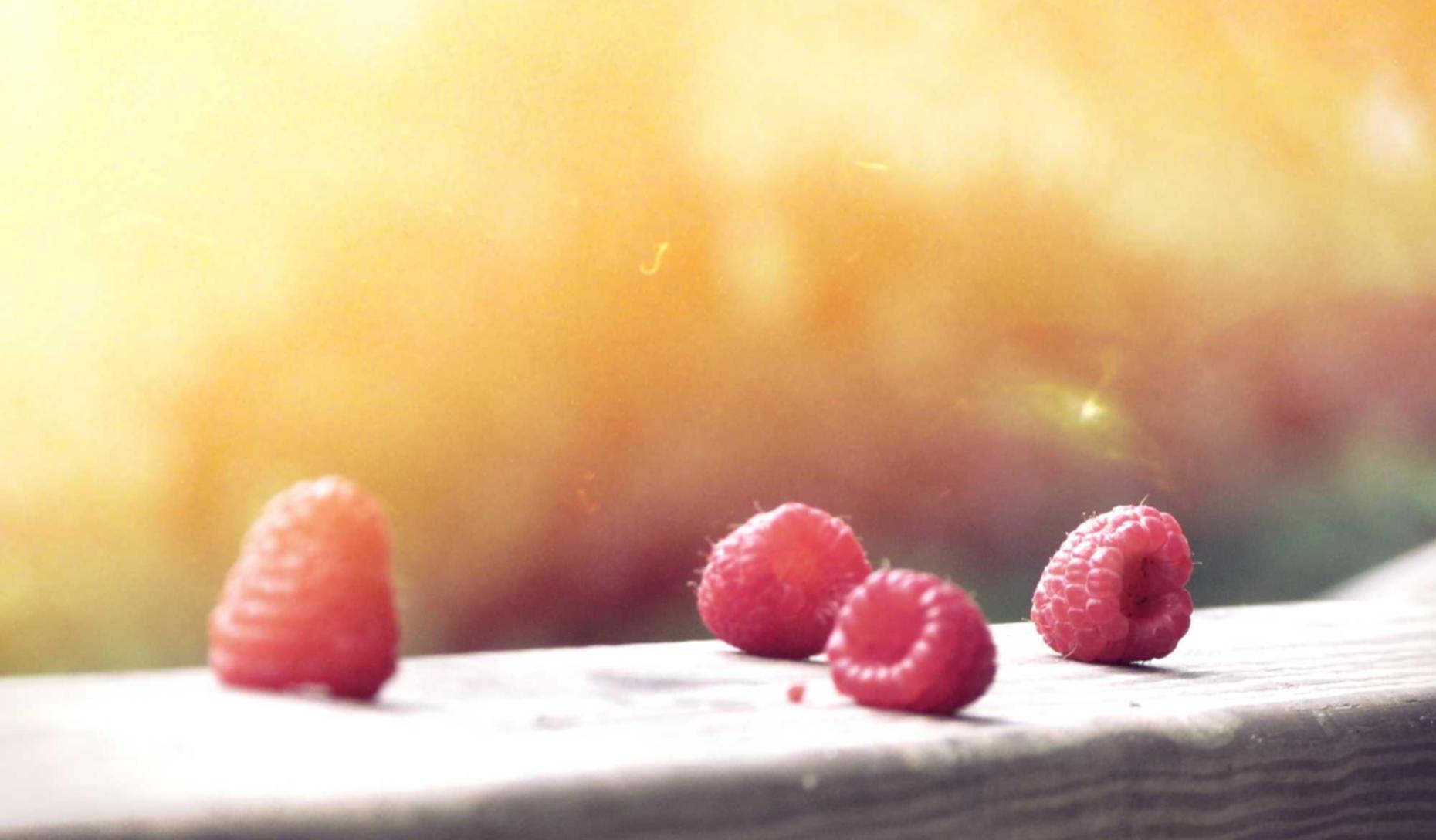 DDOS attack|代理注册证