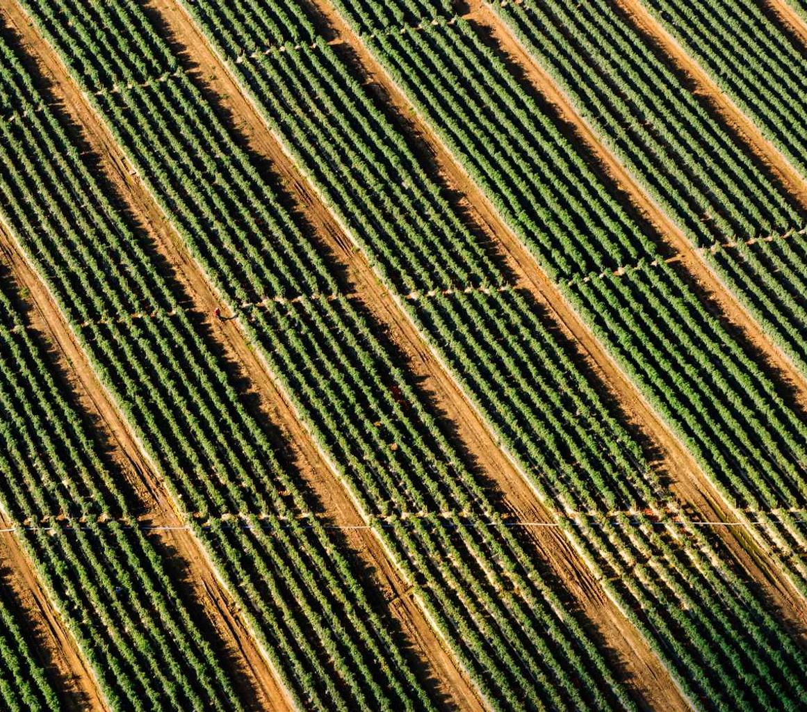 吸烟和旅游和休闲