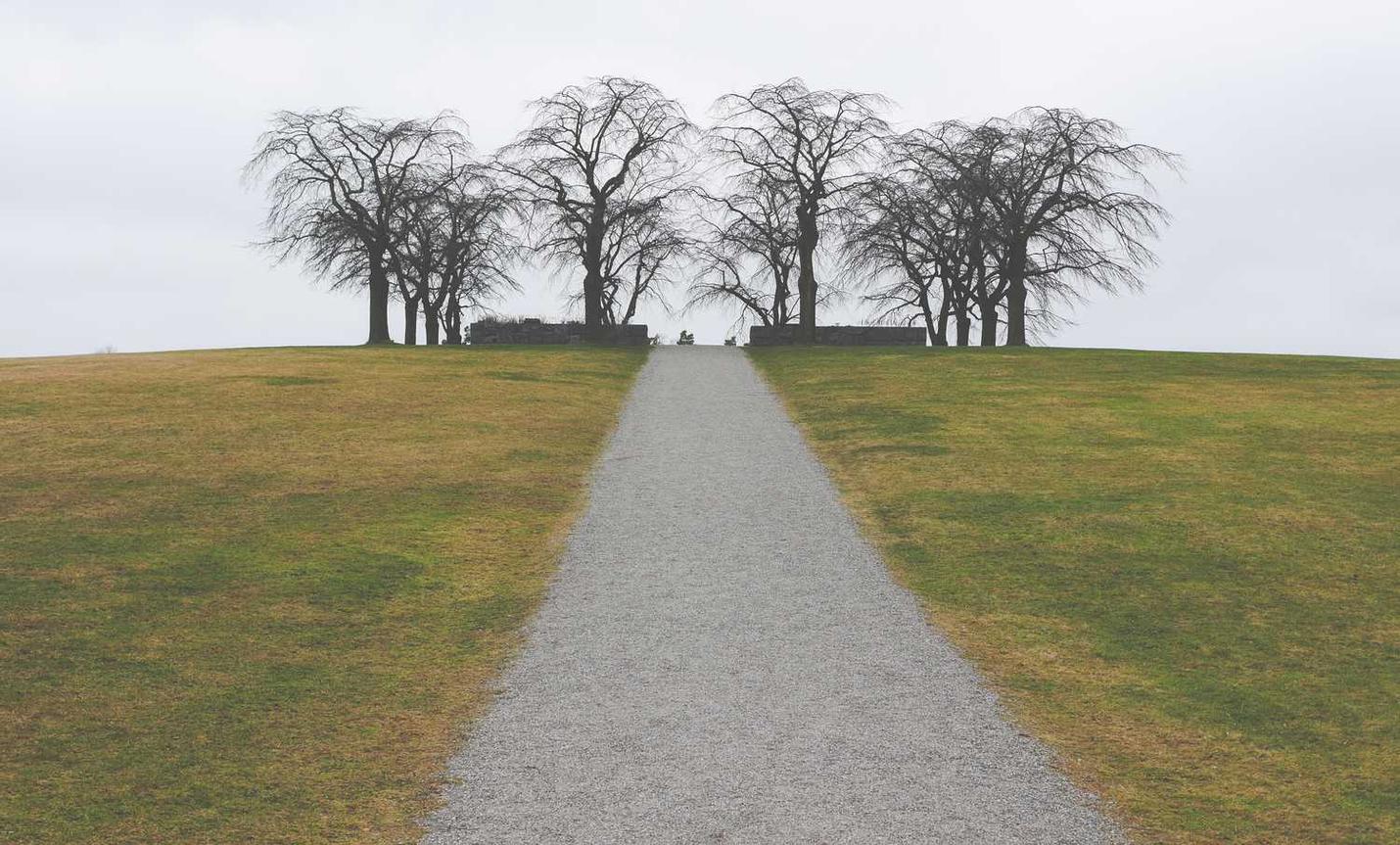 专业出售微信号：慧享家app详情下载教程