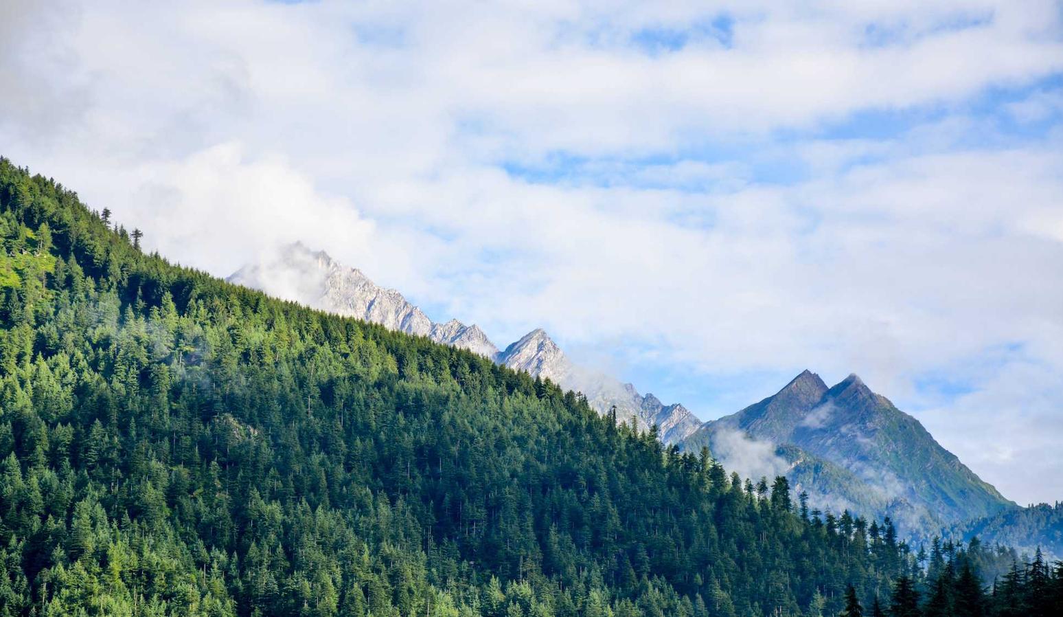 洲际2娱乐,注册|代理端管理平台