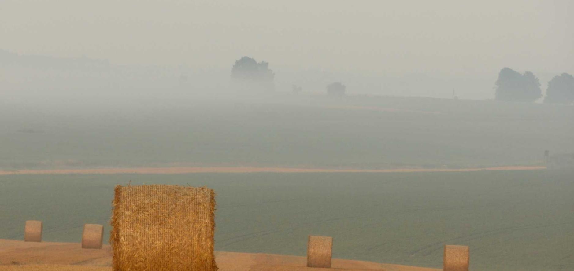 使命召唤手游国际服:中学教材购买平台