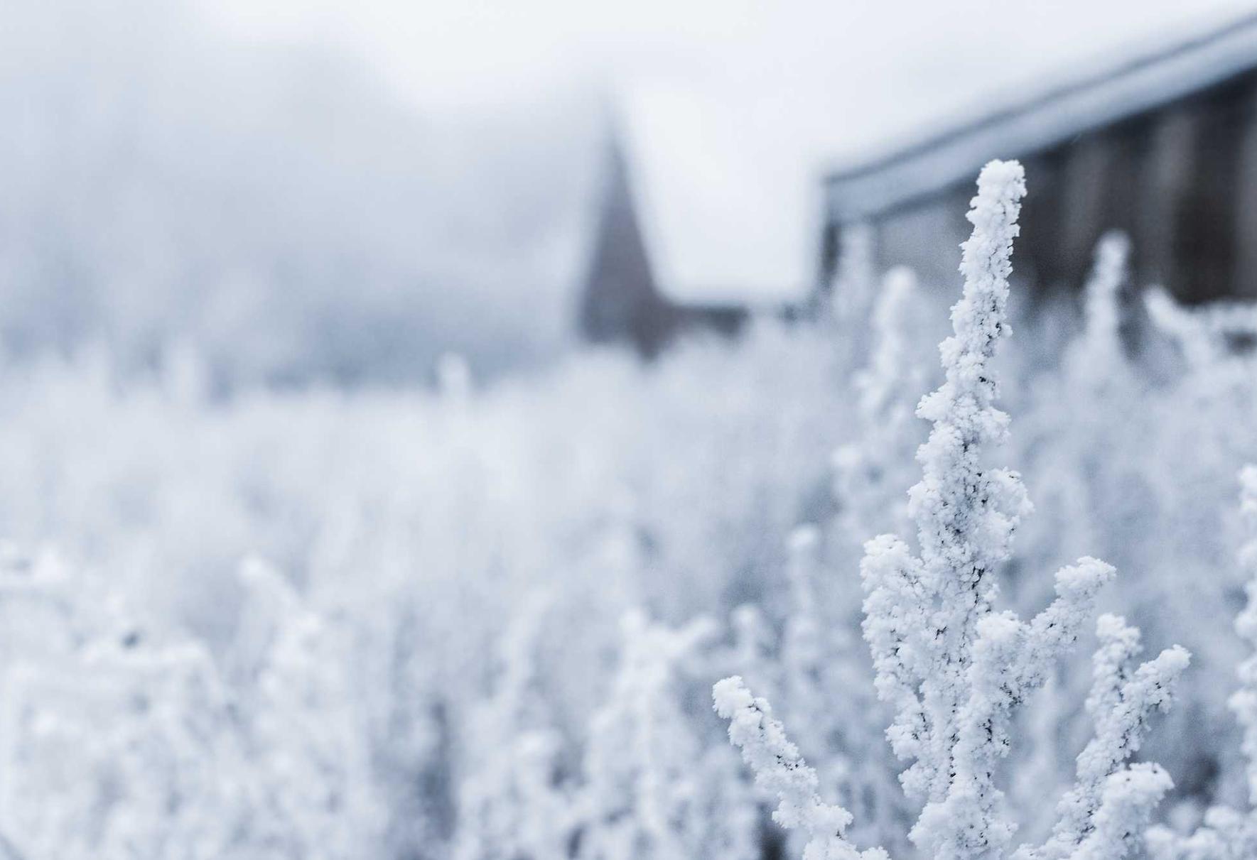 syn攻击|临沧白酒代理供应平台