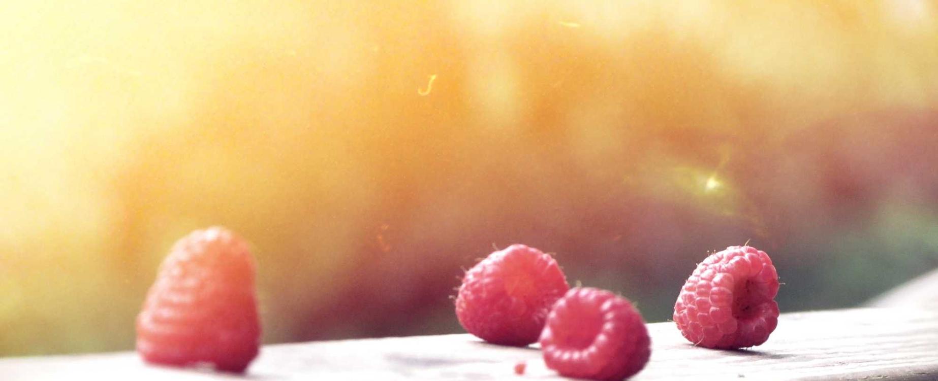 解读ip攻击器网页版- 顶级红酒购买平台