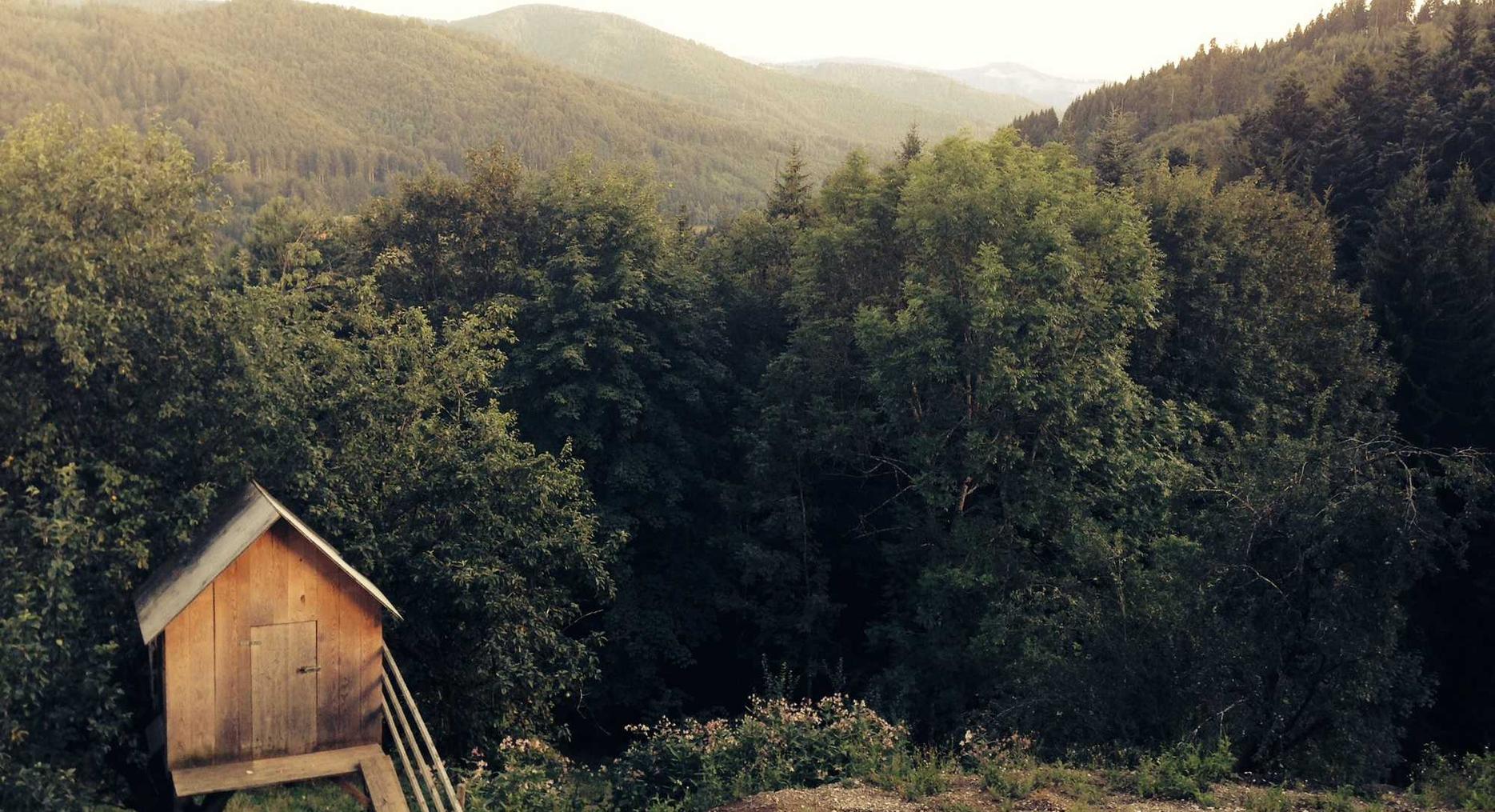 香烟导致肺癌的机制:一个详细的解释