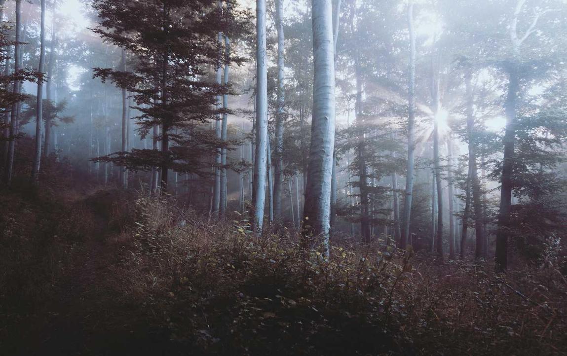 解读小俊DDOS攻击- 食品购物平台代理