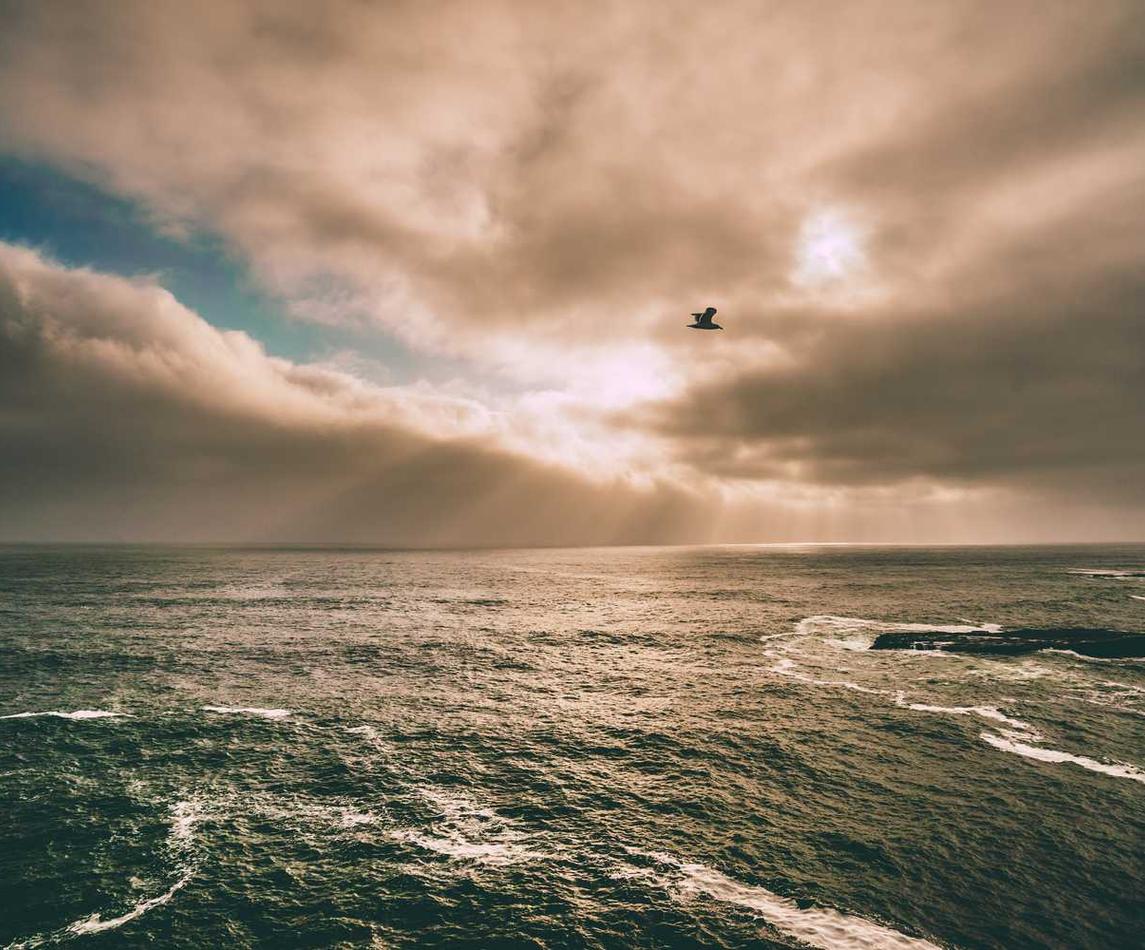 神泣:科研材料购买平台