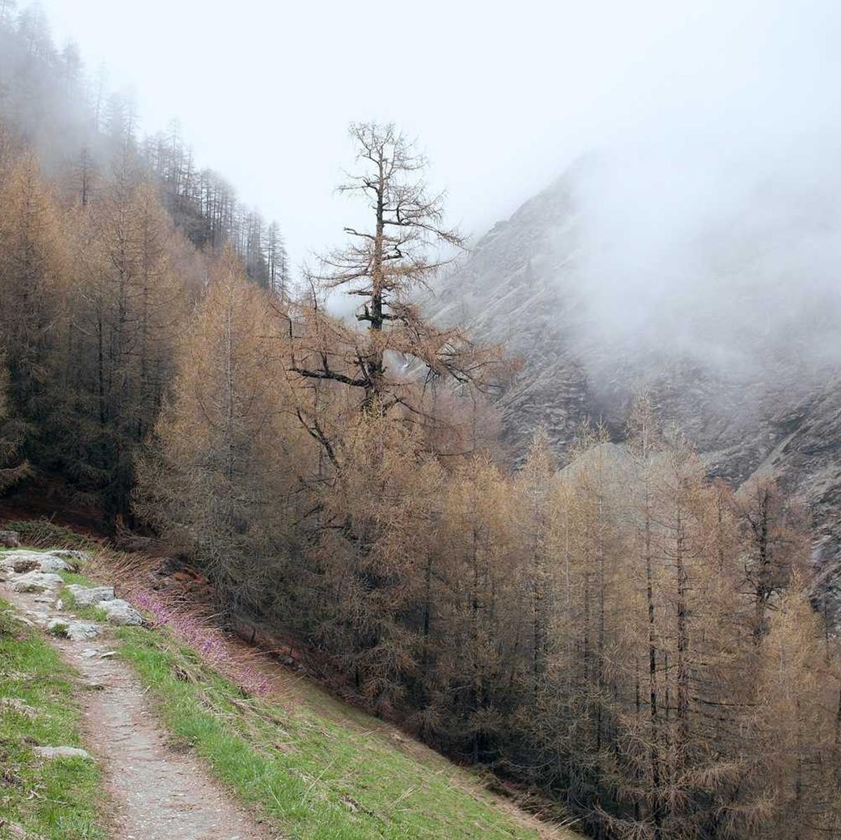 网站压力测试|合肥购买铝棒专业服务平台